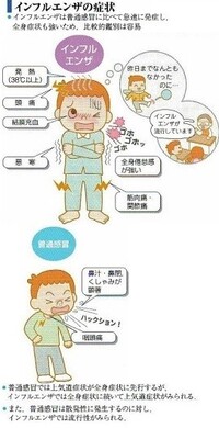 インフルエンザの熱の上がり方は 子供が昨日の１８時ごろ４０ ６ Yahoo 知恵袋