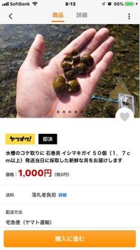 うちのすぐ横の川に石巻貝が普通にいるんですが 珍しい方ですか いつも買わずに Yahoo 知恵袋