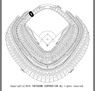 東京ドームレフト側５０通路１１ゲートｆ０５ブロック18列5番の席教えて Yahoo 知恵袋