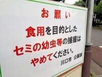 ベトナム人の留学生がカモを2匹捕まえて 殺して自転車カゴに入れていた所を警察に Yahoo 知恵袋