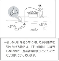 多摩川でボラが沢山いて引っ掛け釣りが出来そうなところはありますか 全国漁 Yahoo 知恵袋