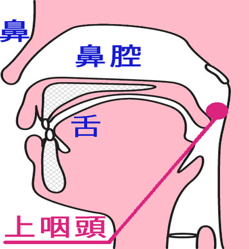 喉に痰が張り付く感じです 対処法で自分でできるのってありますか 病院に月２回 Yahoo 知恵袋