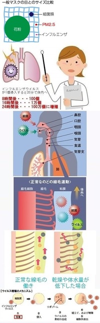 ディープキスで風邪はうつるのですか 勝手なイメージですが Yahoo 知恵袋