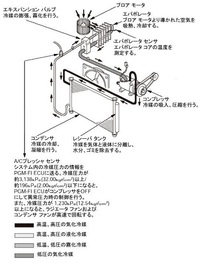 回答の画像