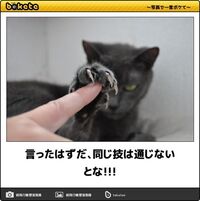 猫パンチのミッキーロークはなんであんなに不細工になったんですか 二度の Yahoo 知恵袋