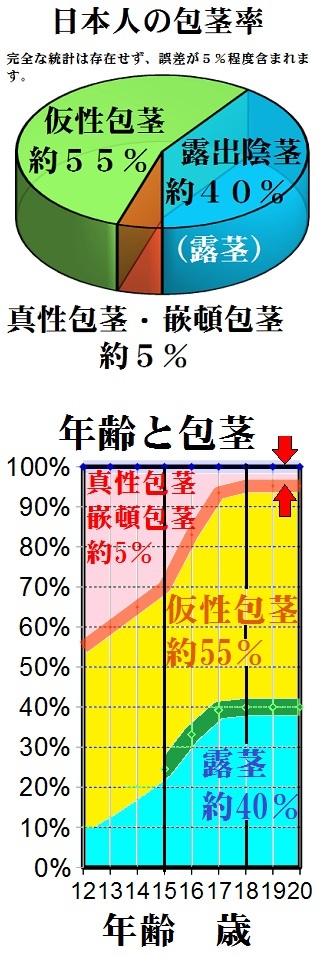 日本人の包茎の割合はどのくらいですか？ - 包茎手術を受けた人は包茎 