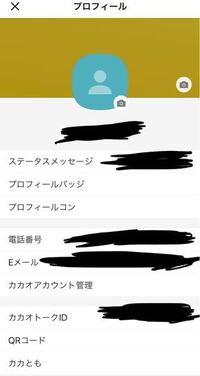 カカオトークのidの設定方法を教えてください 元から決まっている場 Yahoo 知恵袋