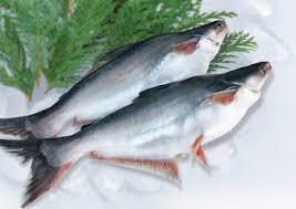 バサという魚は一歳の子供もたべれますか？？ - 食べれると思います 