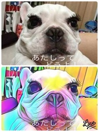 愛犬の写真を可愛いイラストにできるアプリなどはないのでしょうか 写真をイラスト Yahoo 知恵袋