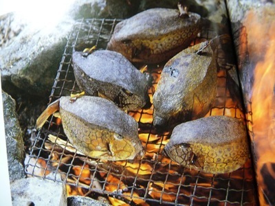 ハコフグの味噌詰め焼きを食したくハコフグの通販を調べていますが 中々見つかり Yahoo 知恵袋