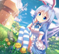 こころぴょんぴょん待ち考えるふりしてもうちょっと近づいちゃえこの歌詞の Yahoo 知恵袋