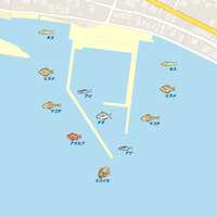 鹿児島在住の方にお尋ねします 国分敷根に有る国分漁港は釣りをして Yahoo 知恵袋