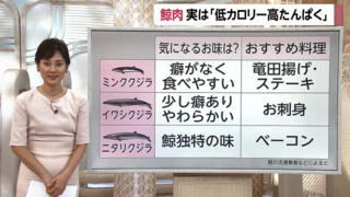 最も共有された イワシクジラ 味 2500 ニタリクジラ イワシクジラ 味