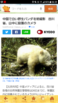 パンダは全て同じ柄 模様 でしょうか よく見ると分か Yahoo 知恵袋