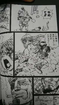 銃夢シリーズについてです エーリカに関して初めて語られる もしくはその存在 Yahoo 知恵袋