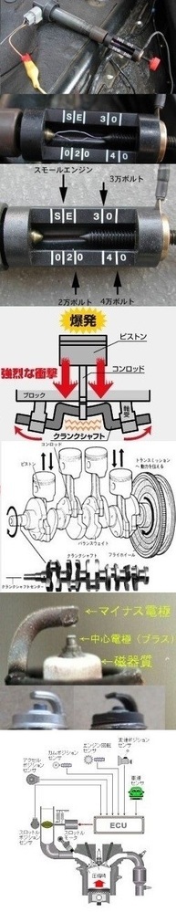 回答の画像