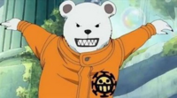 Onepieceのローの仲間 の白くまさんの名前が分からないので教 Yahoo 知恵袋