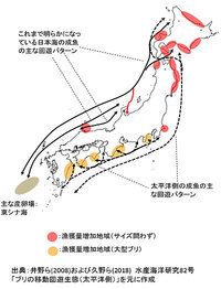 三陸沖の震源地海域付近を通過した天然ブリが相当ヤバイ って本当でし Yahoo 知恵袋