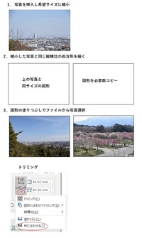 エクセルで写真サイズを統一したいです 画像の縦横比を入力するのですが なぜかそ Yahoo 知恵袋