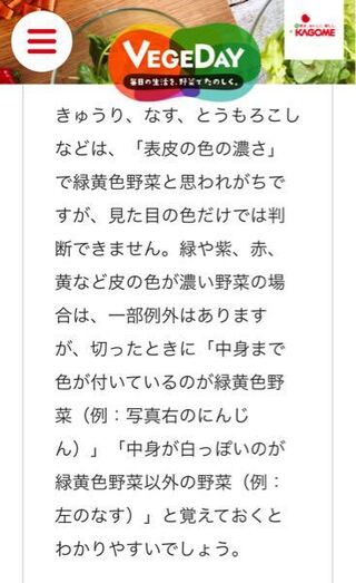 赤玉ねぎって緑黄色野菜ですか 淡色野菜です Yahoo 知恵袋