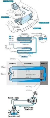 回答の画像