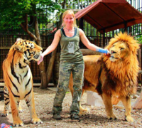 猫科最大の動物は虎ですか 英ジャガーカーズの生産車はビッグキャット Yahoo 知恵袋