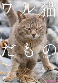 バイトで 嫌いな社員と二人の状況を乗り切る方法を教えて下さい シフ Yahoo 知恵袋