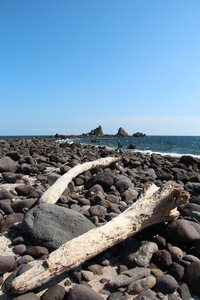 神奈川県内の海で流木が拾えるところはどこですか？江ノ島や、小田