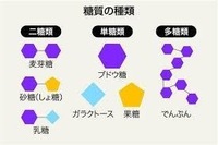 麦芽糖とブドウ糖の違いってなんですか 麦芽糖 マルトース は ブ Yahoo 知恵袋