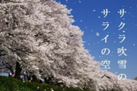 桜吹雪の さらいとは どんな景色ですか 桜吹雪の 校庭と どうちがいますか Yahoo 知恵袋