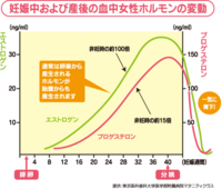 産後半年過ぎ 不正出血が続きます 産後1ヶ月の検診時 まだ悪露がわずか Yahoo 知恵袋