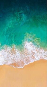 Iphone8 最新os を使っています 壁紙でグリーンの波と砂浜の有名な壁 Yahoo 知恵袋