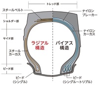 回答の画像