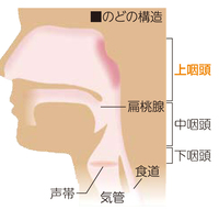 喉の違和感と痰がからむ時の対処法を教えて下さい 子供でも大人でも簡単にできる Yahoo 知恵袋