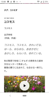 コスモスコスモスきれいだな ゆ らゆらゆら秋風にあかしろももいろゆれ Yahoo 知恵袋