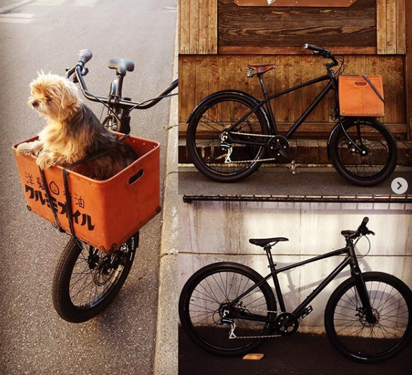 犬を自転車に乗せたいです 普段使用しているママチャリの前カゴに Yahoo 知恵袋
