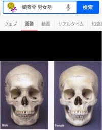 女子が絵を描くと大半はキャラの顎が尖ってるのは何故だと思いますか 絵で書き Yahoo 知恵袋