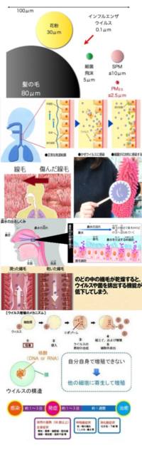 喉が乾燥すると 風邪をひくのか 風邪を引くと喉が乾燥するどち Yahoo 知恵袋