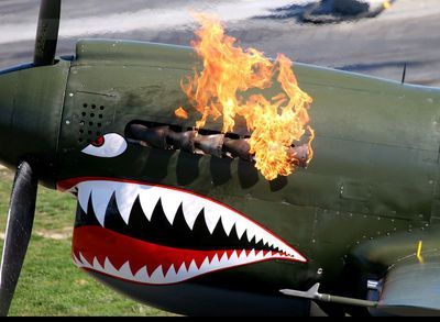 太平洋戦争の米軍の戦闘機にサメの絵が描かれているのは何故です