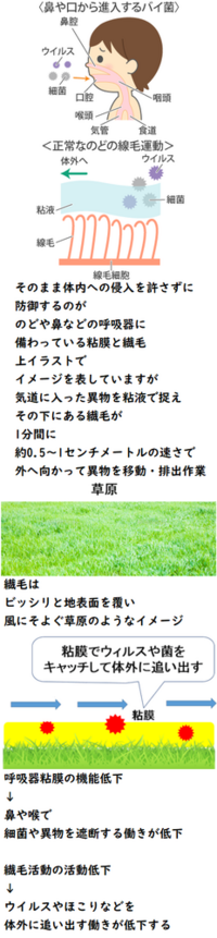 風邪は好きですか 風邪は好きですか風邪の症状頭痛 腹痛 めまいは好き Yahoo 知恵袋