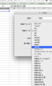 Macexcel11ハガキサイズの印刷の仕方を教えてください Yahoo 知恵袋