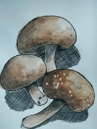 Sarasaの水性ボールペンの上に水彩絵の具塗ったら滲みますか 大 Yahoo 知恵袋