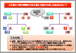 の ab o 型 子供 型 と