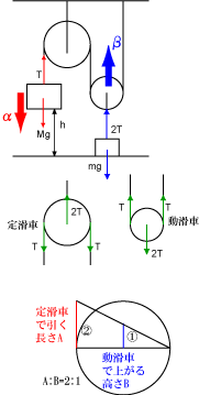 物理定滑車動滑車 定滑車と動滑車なや問題がわかりません 解き方を Yahoo 知恵袋