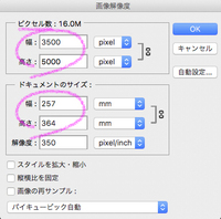 Photoshopでカンバスサイズb4で描いた絵をレイヤー統合してb1に Yahoo 知恵袋