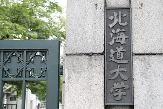 ソース画像を表示