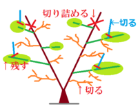 農業についての質問です 数年前まで祖父が管理していた温 Yahoo 知恵袋