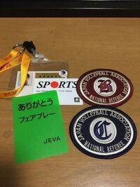 スポーツ少年団認定員について この資格がないと基本 試合の時 公 Yahoo 知恵袋