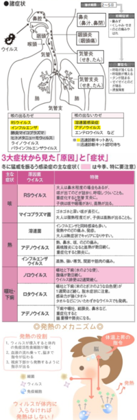 明日どうしても熱を出して学校を休みたいです 胃腸風邪は嫌です あと 嘘 Yahoo 知恵袋