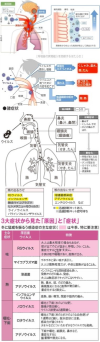 1日目バイト中に腹痛 寒気 2日目シャワー中に嘔吐 頭痛3日目鼻詰 Yahoo 知恵袋